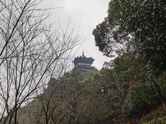 -杭州半山国家森林公园