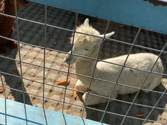 -太阳部落