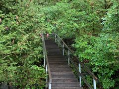 -黄椅山火山森林公园