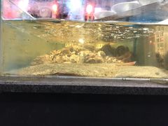 -旺角小渔村(幸福中路店)