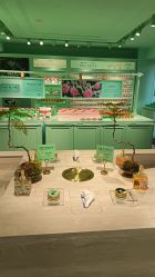 -青稚护手霜QINGZHI