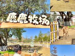 -盈香心动乐园