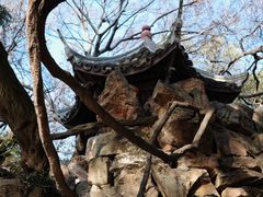 -绮园景区