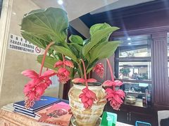 -万柳高尔夫俱乐部