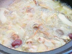 -蘑统田下·野生菌火锅