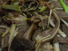 -好嫂子酱猪手•农家菜(蒲黄榆店)