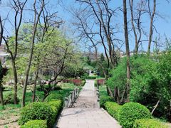 -棒棰岛宾馆景区
