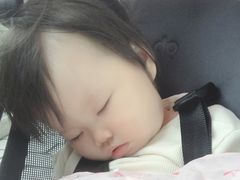 -野生动物园-停车场