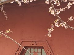 -桃花堤公园