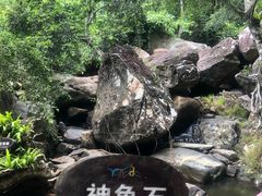 -呀诺达热带雨林