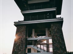 -大湾区中央湿地公园