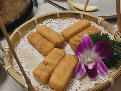 -菌子鲜汤野生菌锅