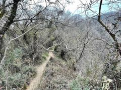 -幕燕滨江·长江观音景区