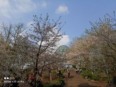 -南山植物园