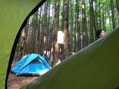 -山王坪喀斯特国家生态公园