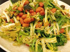 凉拌苦菊-瑞杰烧烤店·24小时营业(山东路店)