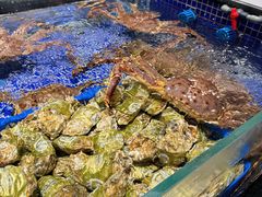 -高佳庄·舟山海鲜(海景旗舰店)