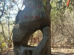 -浮来山风景区