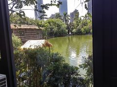 -绿雅居原生态农庄(小涌店)