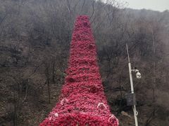 -少华山国家森林公园