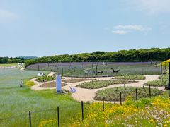 -济州森林小火车生态公园