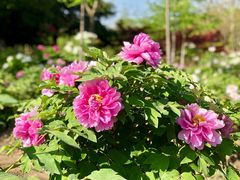 -江南大学-第一食堂(江南苑)