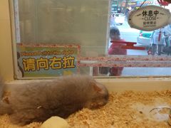 -龙猫仔乐园(惠福东路店)