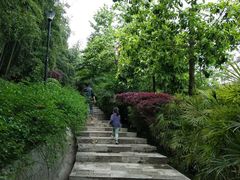 -龙头寺公园
