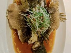 -望乡楼上海菜(日月光店)