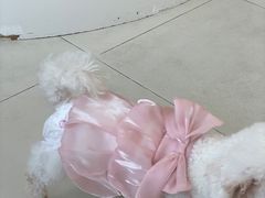 -怪兽屋·羊驼·猫咖·狗咖(俊华广场店)