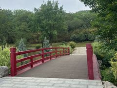 -羊山湖公园