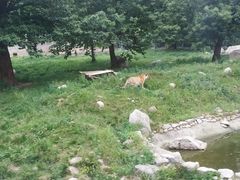 -西安秦岭野生动物园