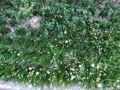 -黄河小浪底水利枢纽风景区