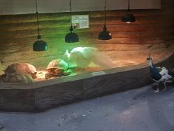 -Zoolung Zoolung动物主题公园(海信广场店)