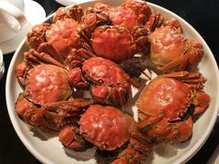 葱油蒸红膏蟹-玫瑰厅上海菜(兴国路店)