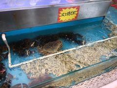 水产区-海鸿荟·沿江菜(中山北路店)