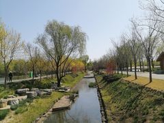 -东郊湿地公园