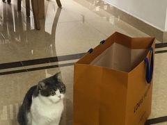 -LV路易威登(德基广场店)