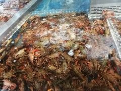 -盒马鲜生(莱蒙都会店)