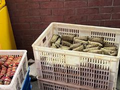 -金太粽(上海弄堂第一粽店)