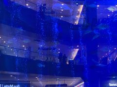 -成都浩海立方海洋公园