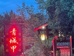 -青城甲(青城山店)