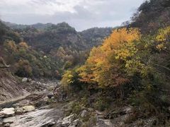 -燕子河大峡谷天坑仙境