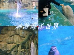 -威海华夏城景区