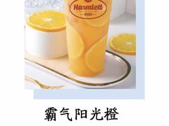 -哈姆特布蕾波波奶茶(江宁镇滨江店)