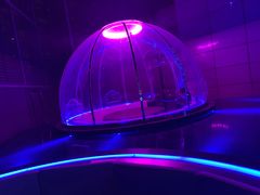 -异次元·LIGHT HOUSE·美食酒廊·休闲露台