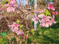 -乌山风景区