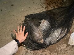 -牙山果园·烧烤野炊·钓鱼团建·烤全羊