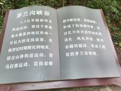 -茅兰沟国家森林公园