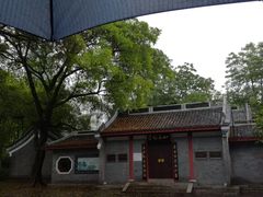 -柳侯公园